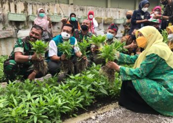 Modern Green City, Buruan SAE Mang Oded di Kompleks Pussenkav