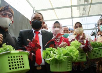 Warga Unpad Meriahkan Hari Kartini dengan Panen Sayuran