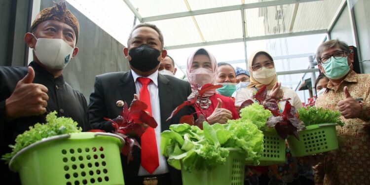 Warga Unpad Meriahkan Hari Kartini dengan Panen Sayuran