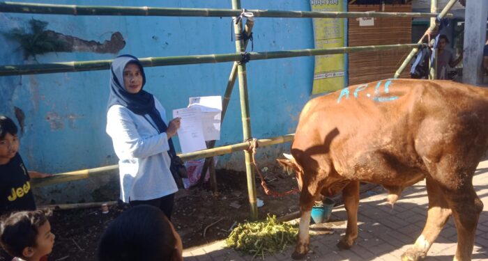 Bandara Husein Bagikan Hewan Qurban Ke Dua Kecamatan