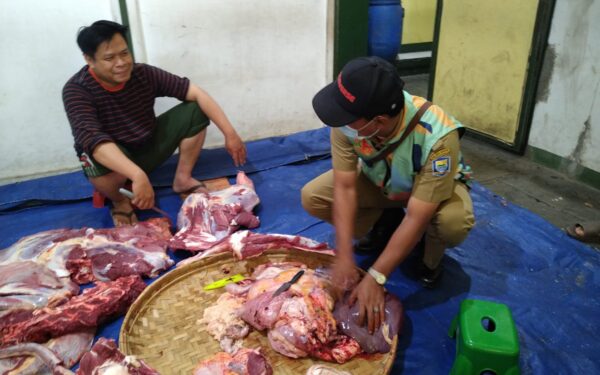 DKPP Kota Bandung Musnahkan Lebih dari 369 Kg Jeroan Sapi dan Domba Kurban