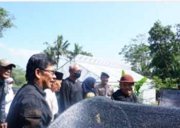 Dongkrak Ekonomi Masyarakat, Salarea Foundation Gelar Pelatihan Maggot