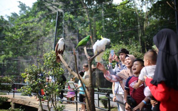 Mengenal Sejarah Kebun Binatang Bandung