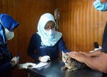 Motivasi Siswa, SMKPN Lembang Gelar Vaksin Hewan Gratis