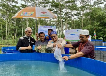 Berdayakan Buruh Kasar, XL Gelar Budidaya Gurami di Bantul