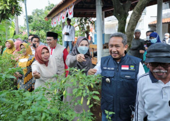 Kota Bandung Panen Bawang Perdana Hasilkan 1,5 Ton
