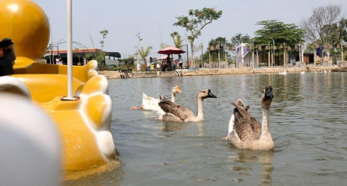 Ada Destinasi Baru Nih di Kota Bandung, Cuma Bayar Ceban Lho