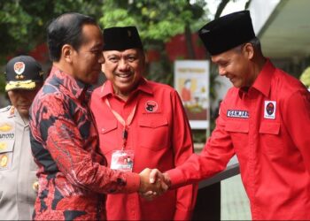 Di Bawah Bayang – bayang Cawe-cawe Presiden Jokowi