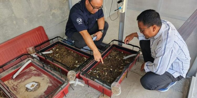 Dorong Ekonomi di Ponpes, XL Axiata Terapkan IoT Untuk Budidaya Maggot