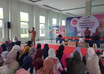 Jabar Zero Stunting Dapat Dicapai Jika dimulai Dari Tingkat RT