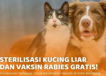 Mau Binatang Kesayanganmu Bebas Rabies, Ayo Vaksin Gratis