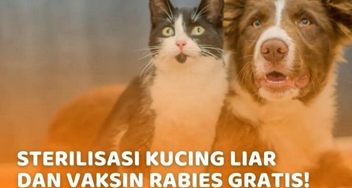 Mau Binatang Kesayanganmu Bebas Rabies, Ayo Vaksin Gratis