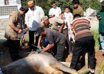 Mushola Ar-Rahman Villa BSM Potong Hewan Qurban