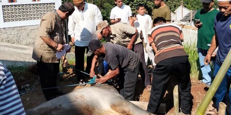 Mushola Ar-Rahman Villa BSM Potong Hewan Qurban