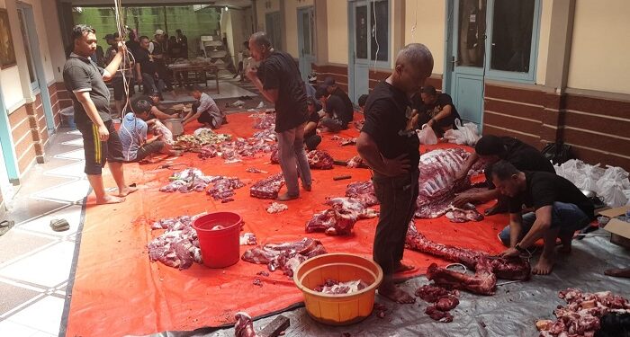 Sanitasi Kunci Utama Pengolahan Daging Qurban