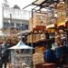 Mau Tau Surganya Para Kicaumania Bandung, ke Pasar Burung Sukahaji Aja