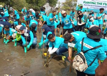 Aksi Penanaman Pohon Mangrove di Pantai Kesunean