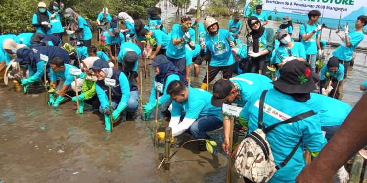 Aksi Penanaman Pohon Mangrove di Pantai Kesunean