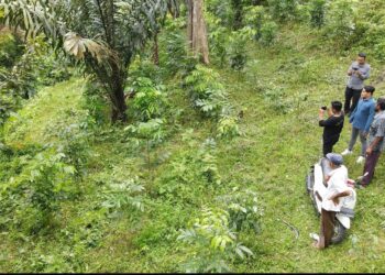 Cegah Abrasi, BPDAS Asahan Barumun & Warga Lakukan Penghijauan