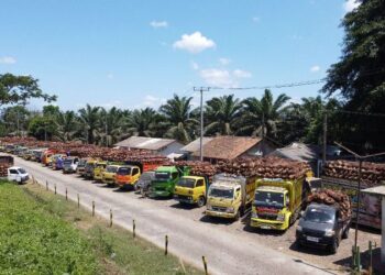 PTPN IV PalmCo Bantah Tuduhan Timbangan di PKS Kertajaya