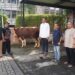 BRI RO Bandung Sembelih Puluhan Hewan Qurban