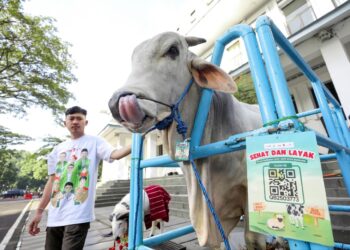 Idul Adha 2025 Kota Bandung: 2.075 Titik Salat dan 13.321 Ekor Hewan Kurban