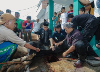 Pemkot Bandung akan Terus Pantau Penyembelihan Hewan Kurban Selama Hari Tasrik