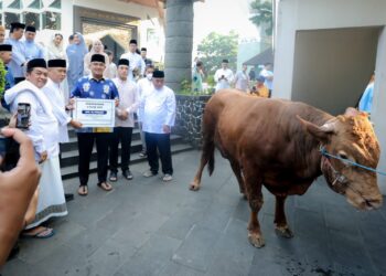 Wali Kota Bandung: Kurban Terdistribusi Merata, Sampah Terkendali