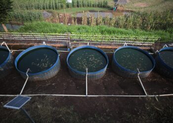 Pemkot Bandung Salurkan Traktor dan Benih untuk Petani