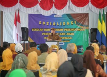 Luncurkan Senandung Perdana Tingkat Kelurahan, Erwin Pastikan Perempuan dan Anak Terlindungi