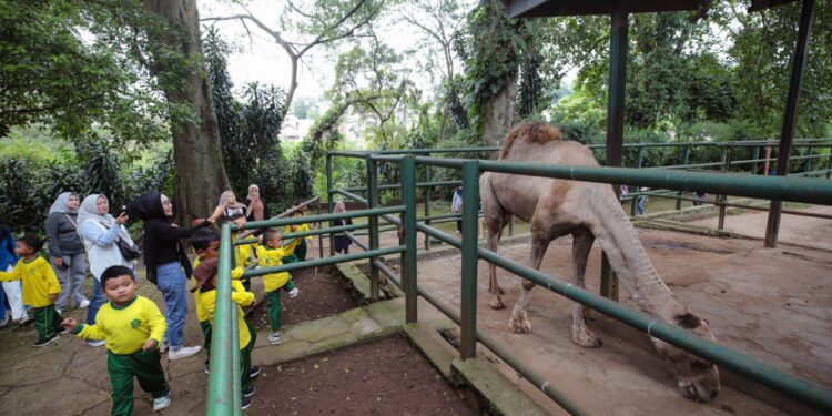 SPMD Apresiasi 4 Skema Usulan Farhan