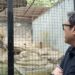 Megawati Perintahkan PDI- Perjuangan Jabar Turun Tangan Bantu Bandung Zoo
