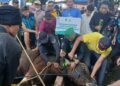 Baznas Jabar Distribusikan Hewan Kurban untuk Menguatkan Kepedulian dan Kebahagiaan Masyarakat