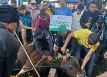 Baznas Jabar Distribusikan Hewan Kurban untuk Menguatkan Kepedulian dan Kebahagiaan Masyarakat