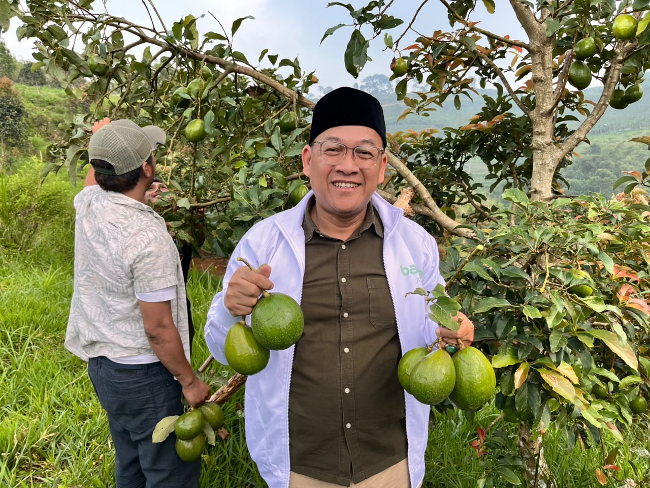 Panen Perdana Alpukat Binaan BAZNAS Jabar Buka Harapan Kemandirian Petani