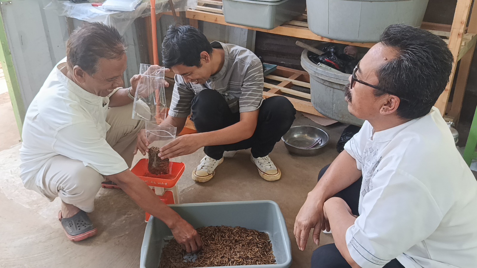 Universitas Sangga Buana Dampingi Warga Kembangkan Budidaya Maggot